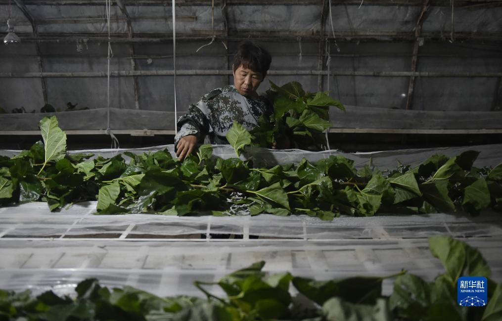 星力版下分捕鱼游戏注册送分